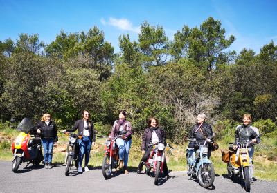 Photo de Cyclo Sud Classique 2023