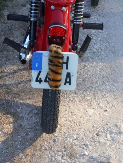 Photo de Cyclo Sud Classique 2025