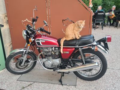 Photo de Laouzas