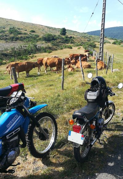 Photo de Raid cyclos 2019