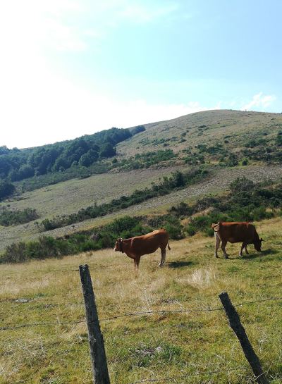 Photo de Raid cyclos 2019