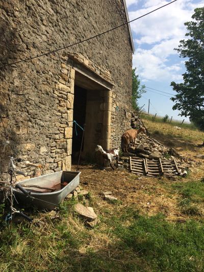 Photo de Raid cyclos 2019
