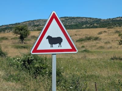Photo de Raid cyclos